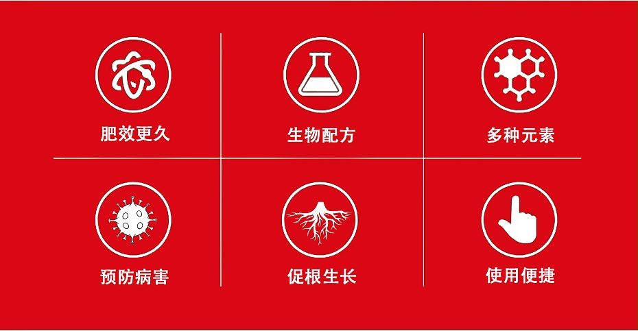 维他十三金4