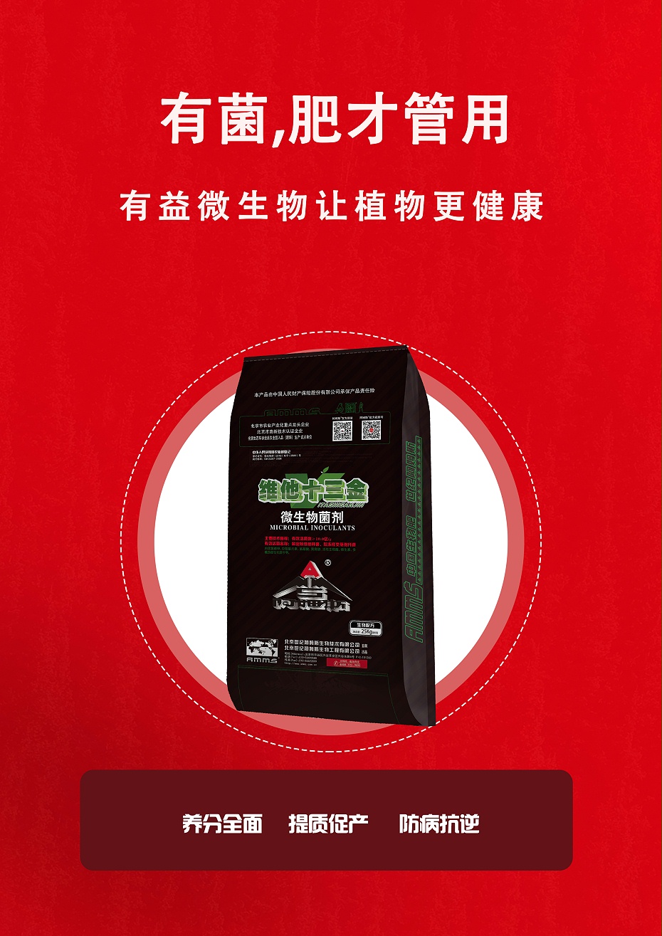维他十三金5