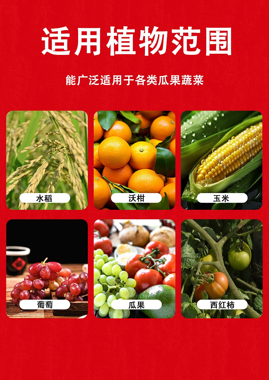 维他十三金6
