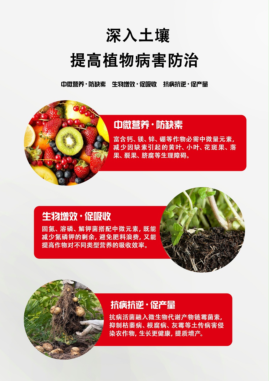 果美3
