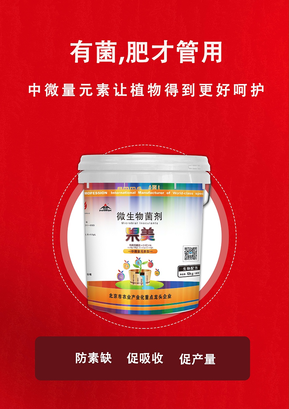 果美5