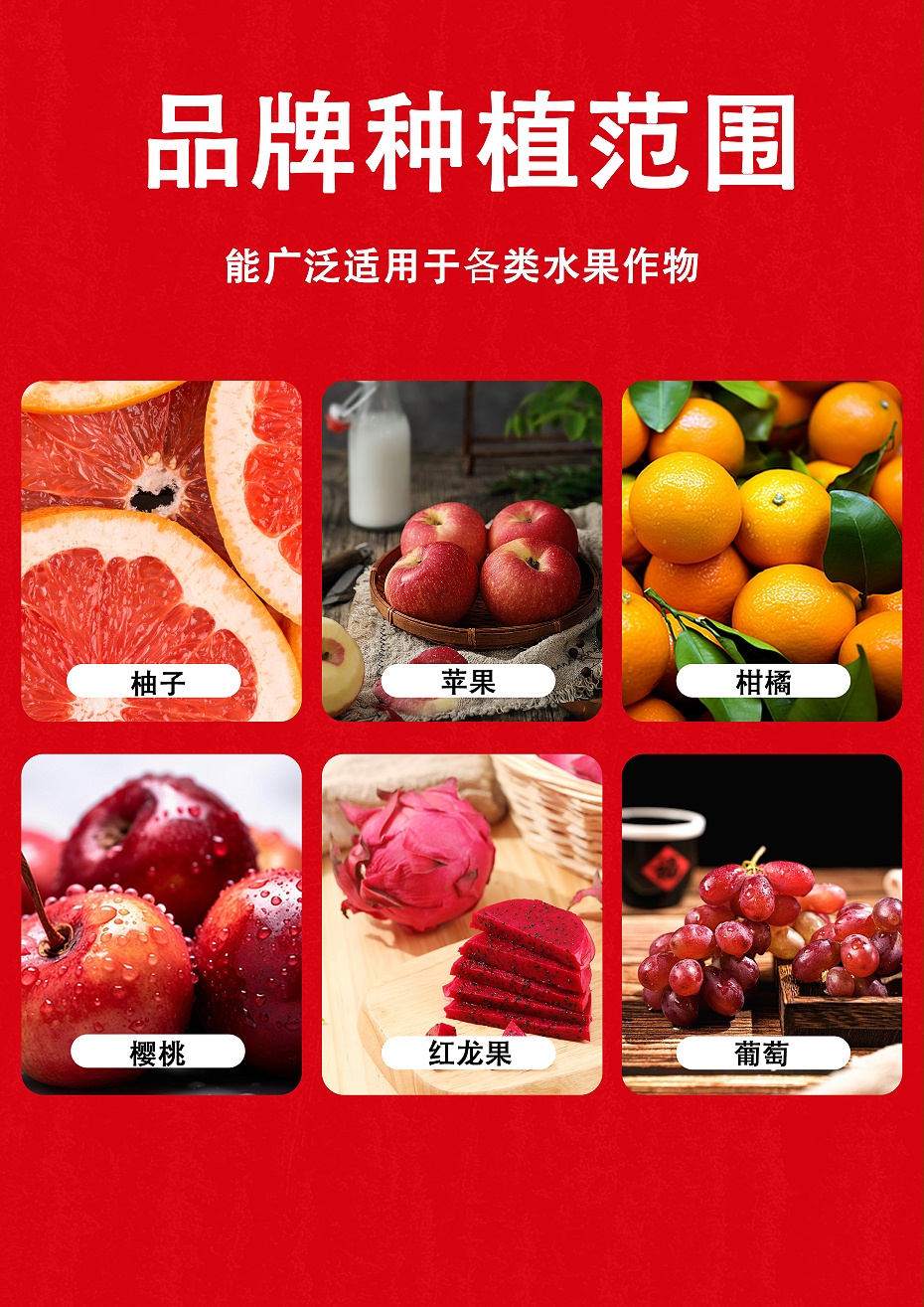 果美6