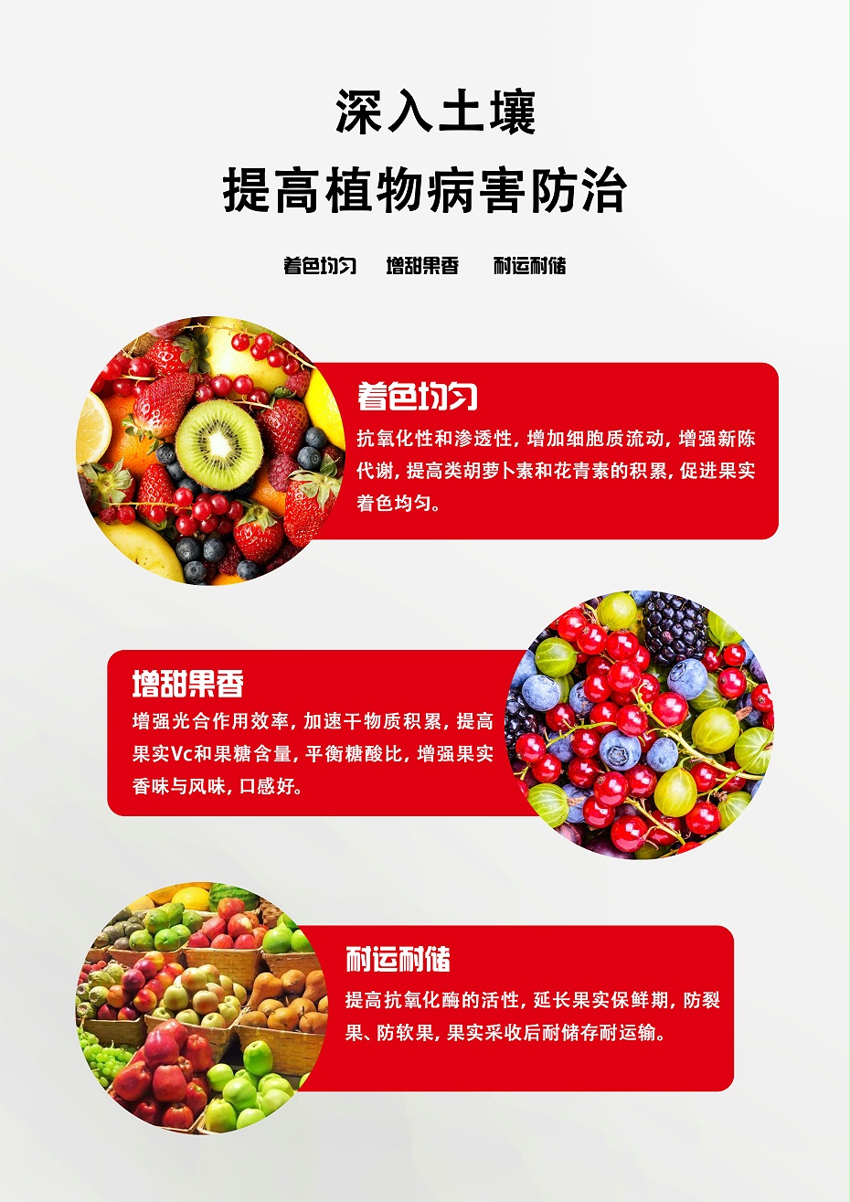 红润3