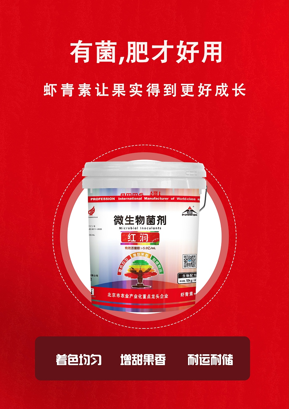红润5