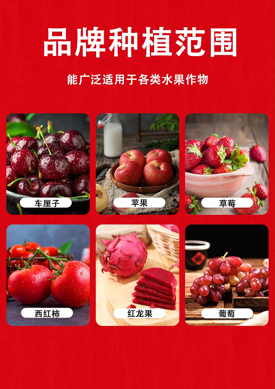 红润6