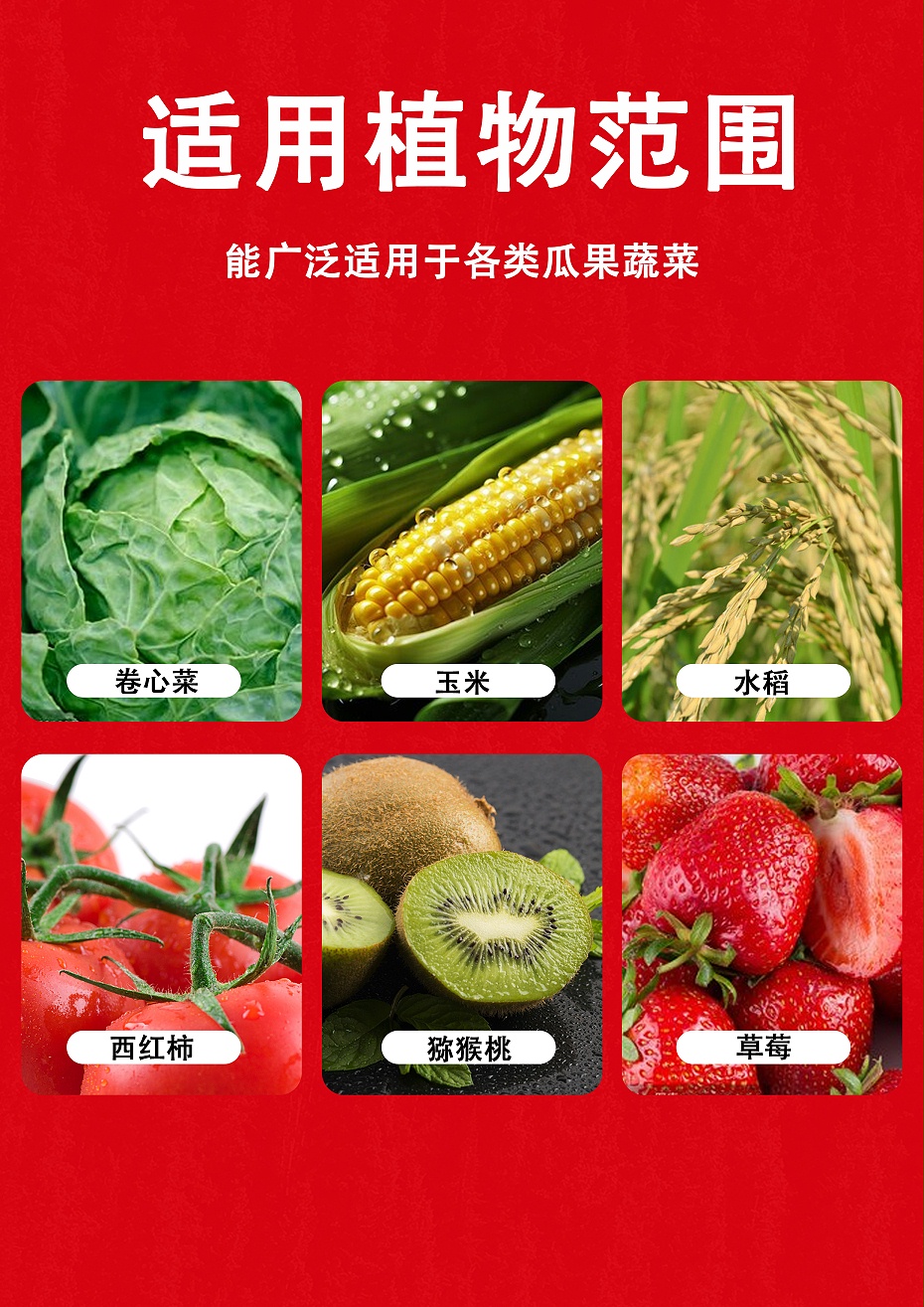 活菌养地6