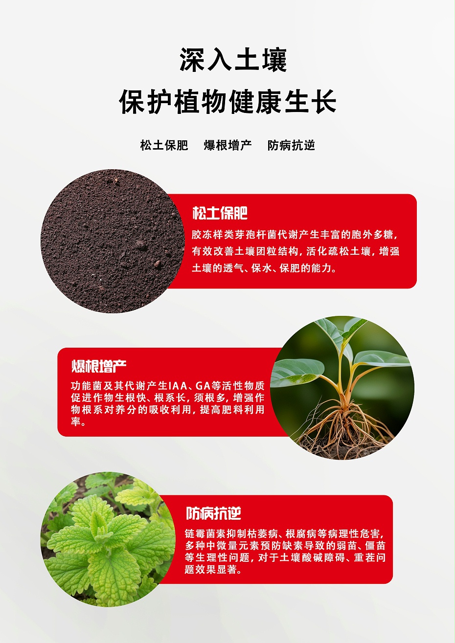 三合力3