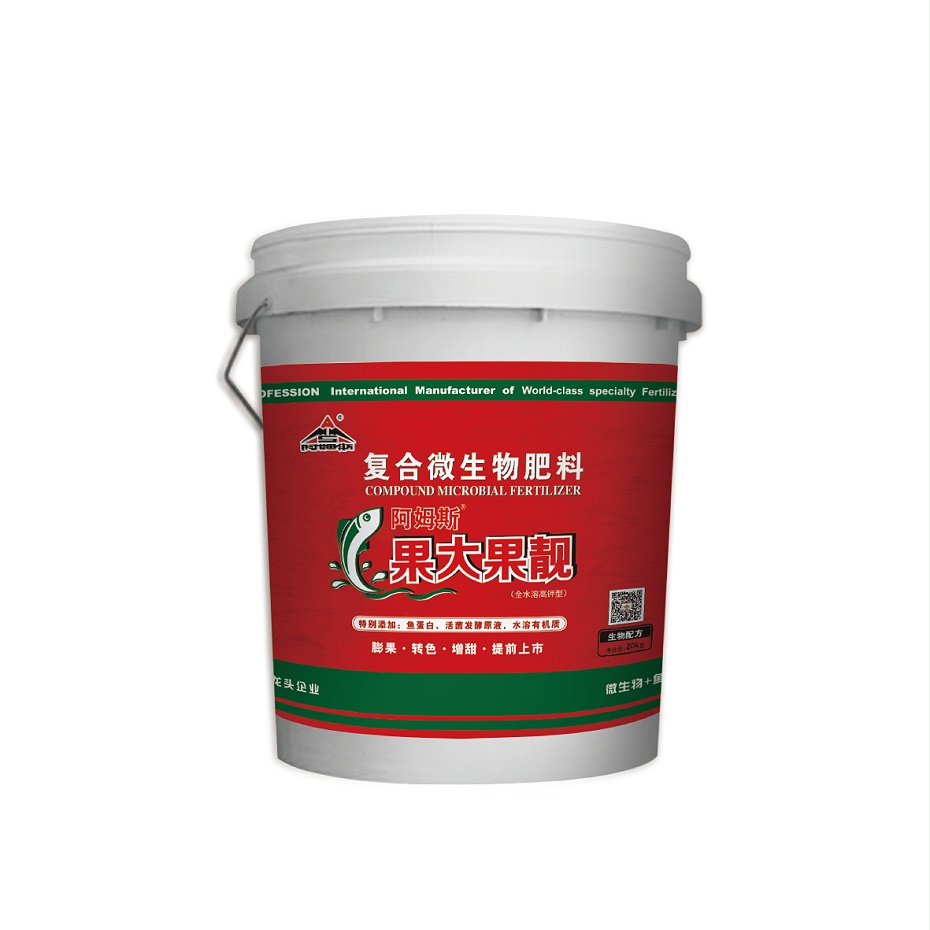 果大果靓