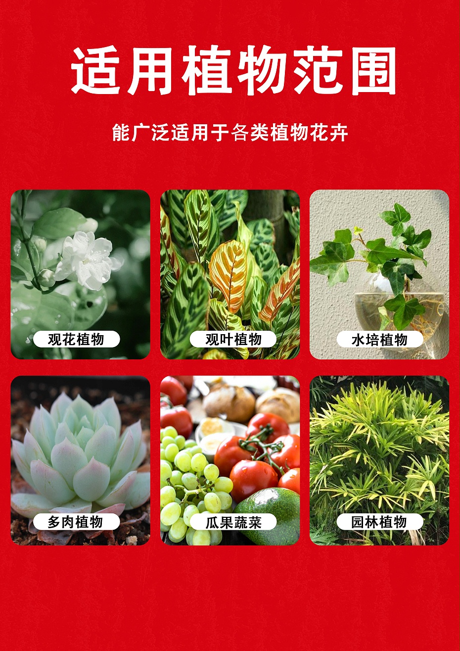 发根多6