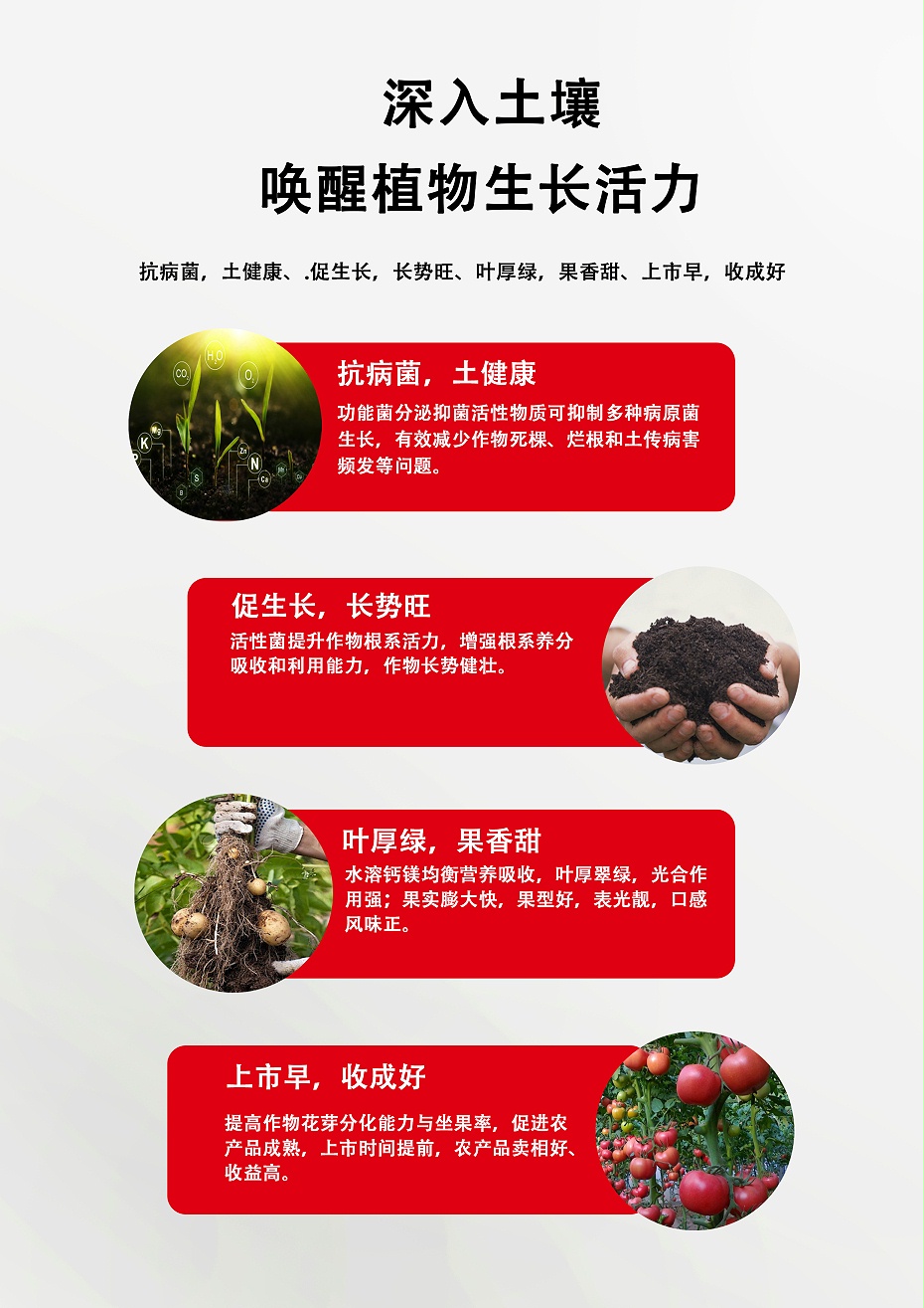 菌令壮3