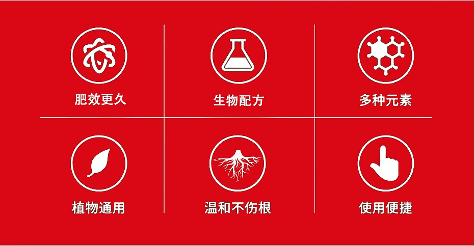 发根多4