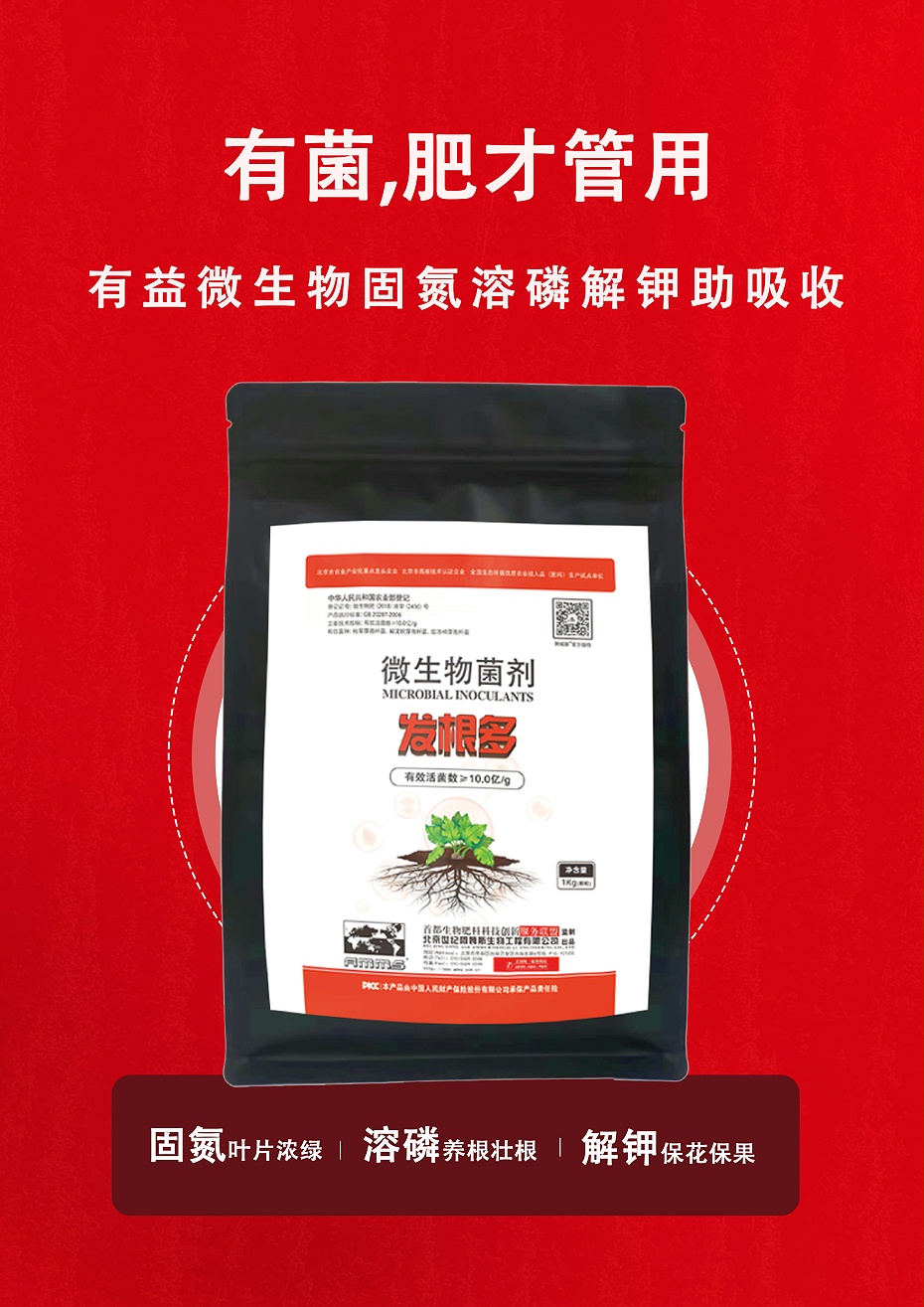 发根多5