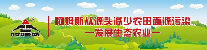 阿姆斯从源头减少农田面源污染-发展生态农业（一）
