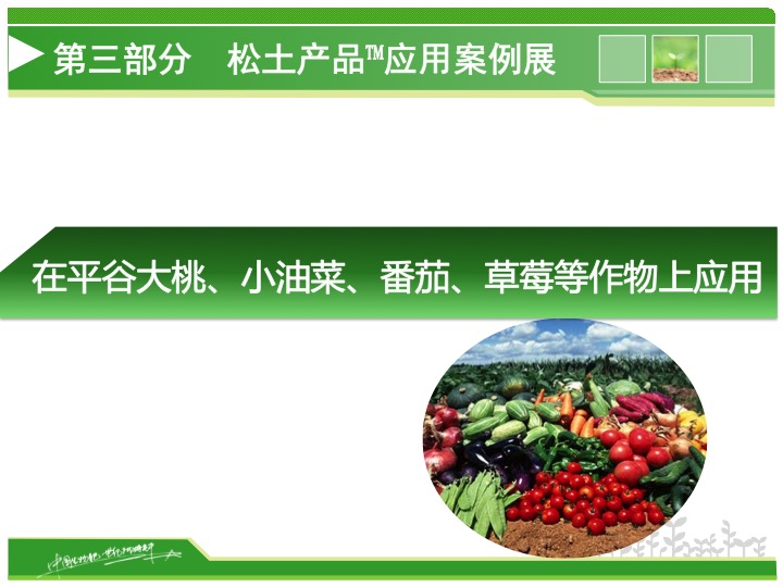 幻灯片16