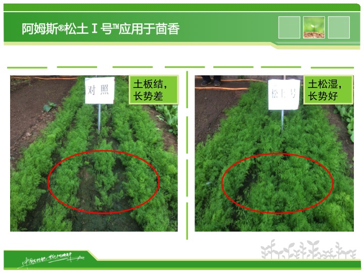 幻灯片21