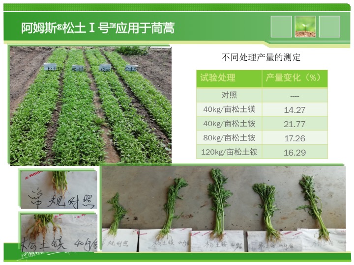 幻灯片22