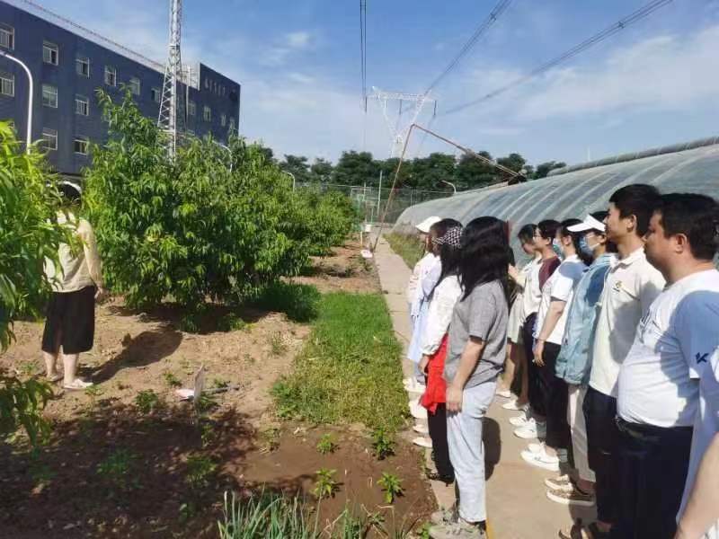 北京阿姆斯桃树施肥以及所需肥料”专业知识培训