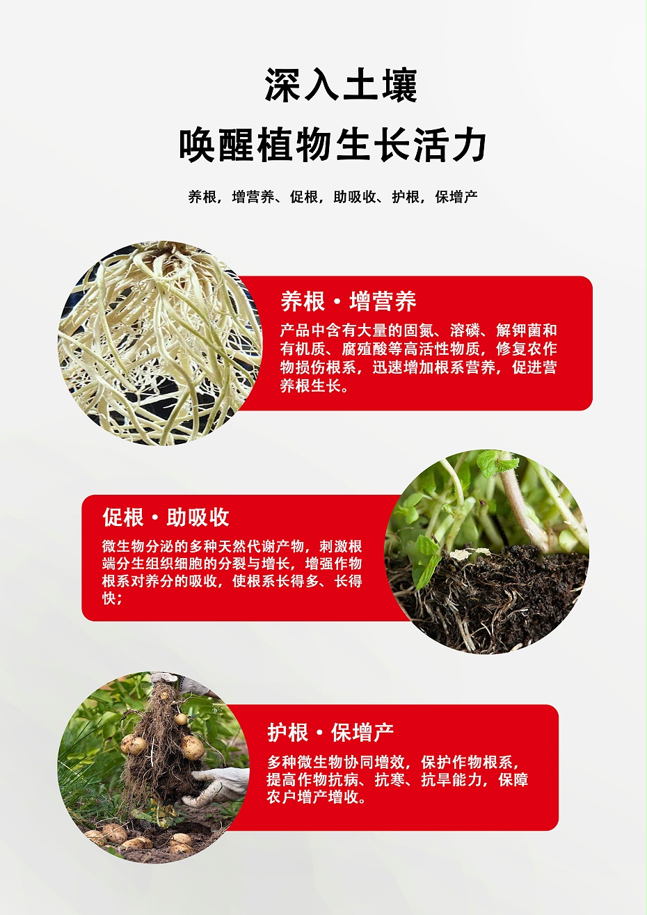 爆根1号3