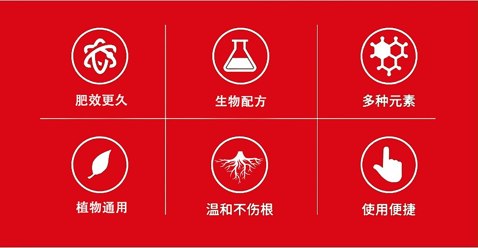 爆根1号4