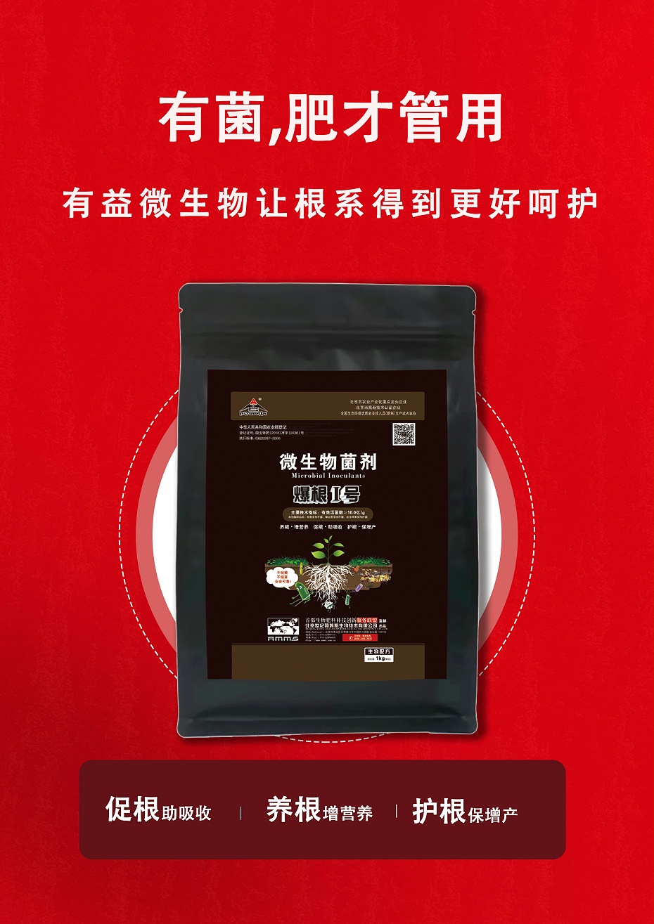 爆根1号5