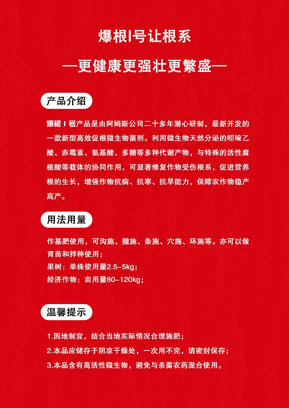 爆根1号7