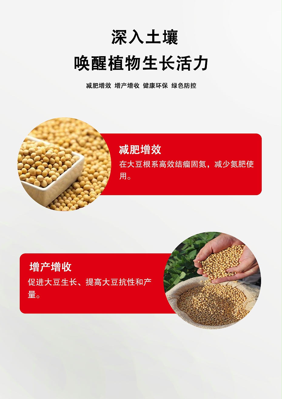 豆豆乐3