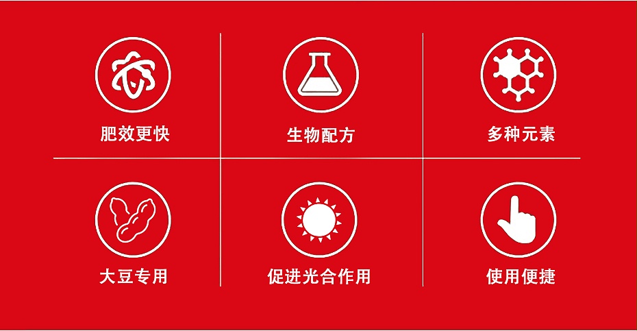 豆豆乐4