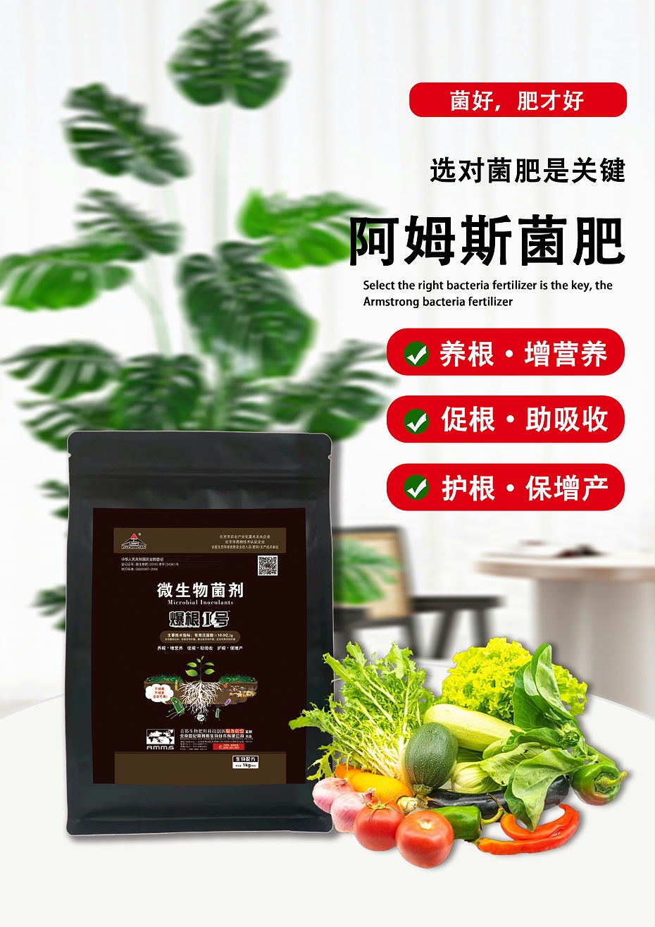 爆根1号2