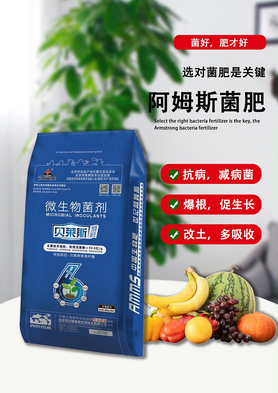 贝莱斯2(40kg)